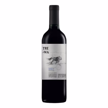 merlot valle de maule